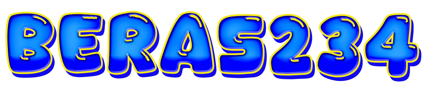 BERAS234 logo